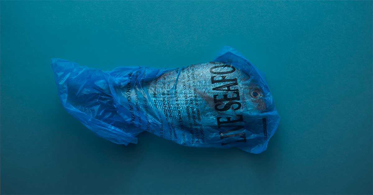 Branding sostenible Trinexo