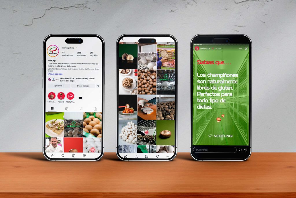 Departamento de marketing para Neofungi: estrategia, contenidos, redes sociales, influencers, fotografía, vídeo y comunicación para ferias internacionales.